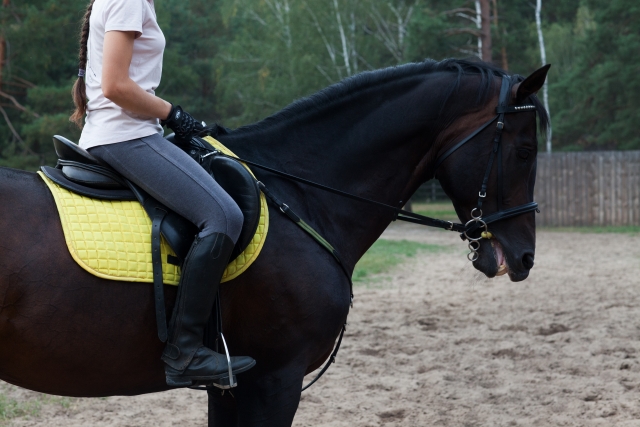 小物で乗馬体験をさらに豊かに！乗馬用品の購入は中江物産（NAKAE BUSSAN）へ